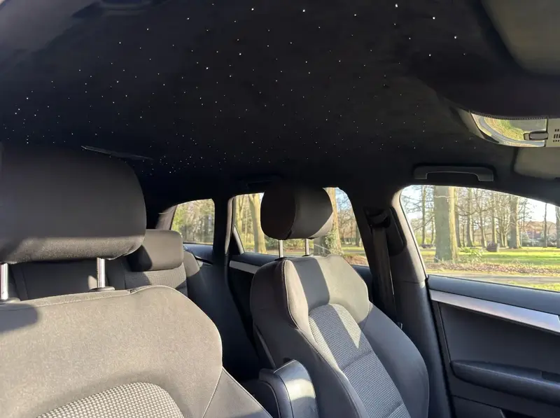 Starlight Cabin, headliner and Alcantara pillars