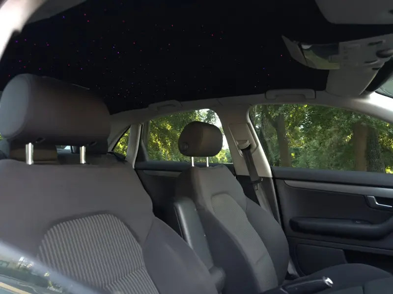 Black suede headliner from the rear seats