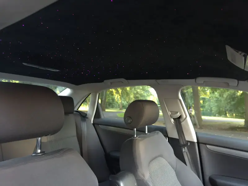 Black suede headliner detail